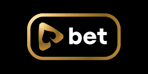 playbet casino logo wide